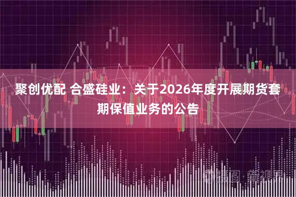聚创优配 合盛硅业：关于2026年度开展期货套期保值业务的公告