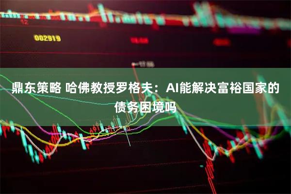 鼎东策略 哈佛教授罗格夫：AI能解决富裕国家的债务困境吗