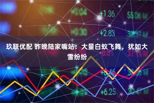 玖联优配 昨晚陆家嘴站：大量白蚁飞舞，犹如大雪纷纷