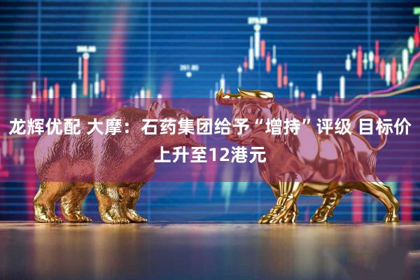 龙辉优配 大摩：石药集团给予“增持”评级 目标价上升至12港元